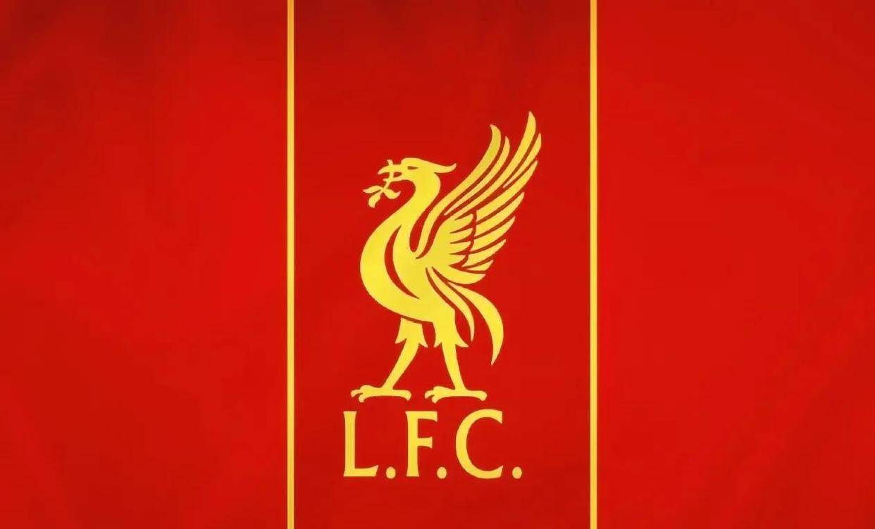 利物浦憾负热刺,意志坚韧尚需提高 利物浦憾负热刺,意志坚韧尚需提高